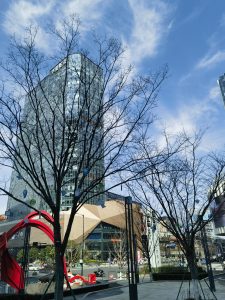 金华安置房抵押贷款：开启房产价值新通道插图
